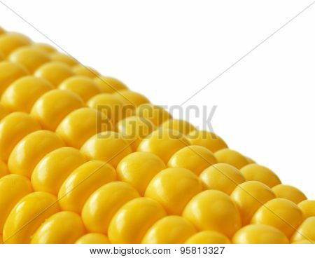 Closeup sweetcorn cob on white