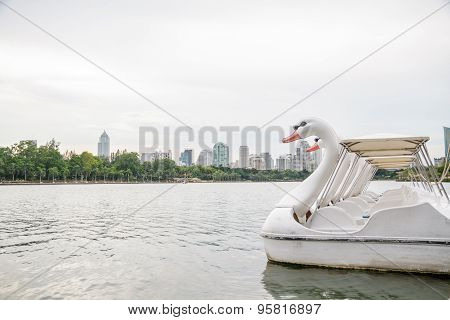 Paddle Boat