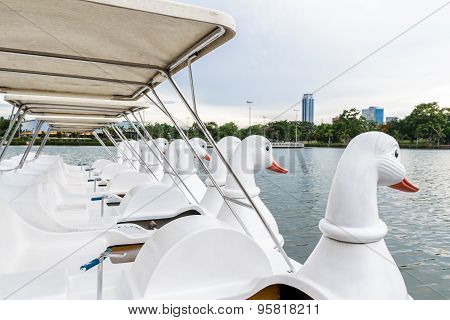 Paddle Boat