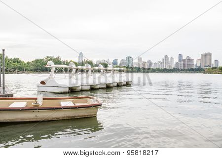 Paddle Boat