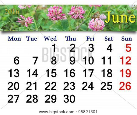Calendar For June 2016 With Flowers Of Clover