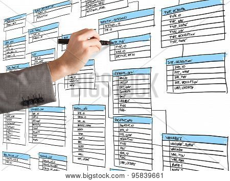Organize a database