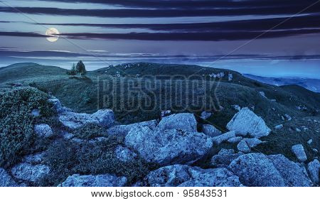 Trees On Hillside Among Huge Boulders At Night
