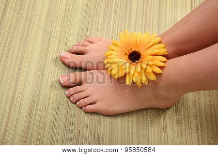 Beautiful feet with perfect spa french nail pedicure