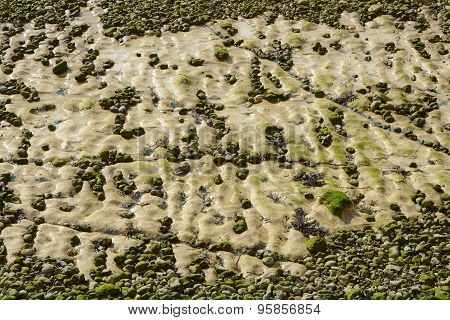 Chalk Rocks On Rottingdean Beach, England