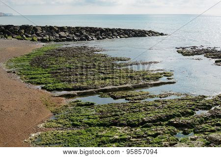 Rocks At Rottingdean Beach, Sussex, England