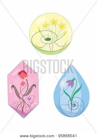 Three spring flowers of the growing.