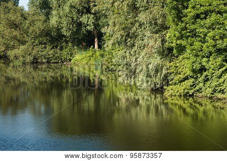 Trees Reflected In The Mirror-smooth Water Surface