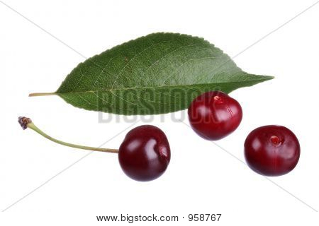 Kirschen und Blatt