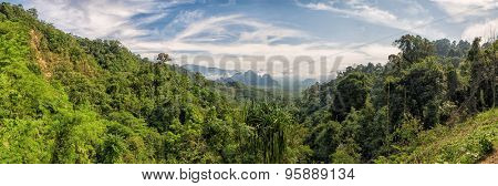 Panorama of Kao Sok Lush Forests from a viewpoint with mountains in the background