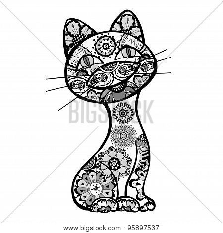 Funny Cats