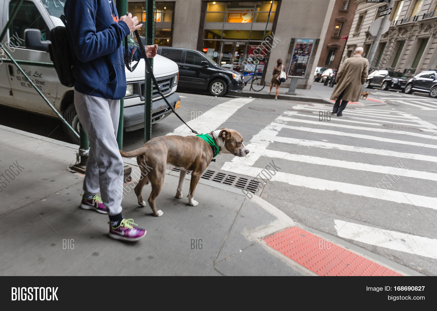 Dogs On Streets Nyc Image & Photo (Free Trial) Bigstock