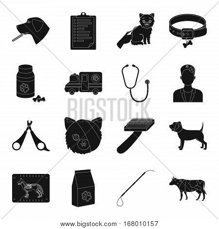 Veterinary clinic set icons in black design. Big collection of veterinary clinic vector symbol stock illustration