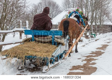 Belarus - February 14, 2016 / After celebrating St Valentine's Day in the Belarusian village the horse was carrying an old man on a wooden sledge home horse decorated with flowers road and roofs of houses in the snow a winter trees without foliage wooden 