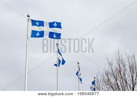 Quebec flags in Quebec city, QC, Canada