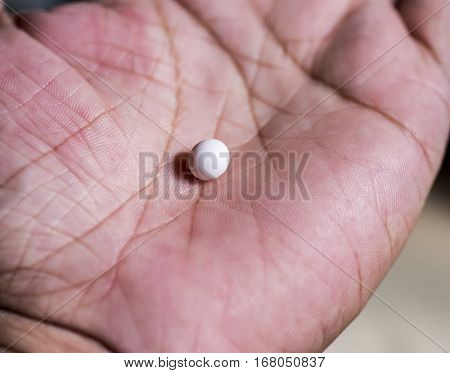 The  Eggs Of Lizard House In Humand Hand