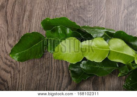 Kafir Lime Leaves