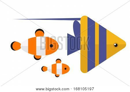 Reef clown fish or anemone vector illustration. Wild aquatic marine orange cute animal. Exotic pet saltwater undersea vivid nature amphiprion.