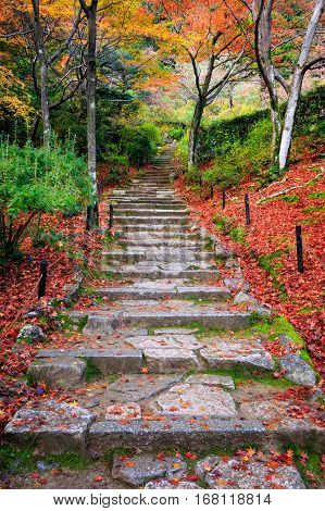 Stairway in autumn Jojakkoji temple Arashiyama Kyoto Japan