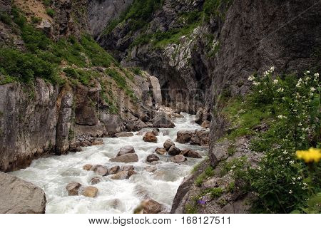 The Mountain River