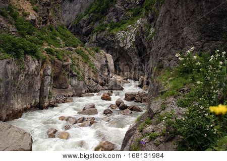 The Mountain River