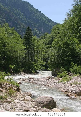 The Mountain River