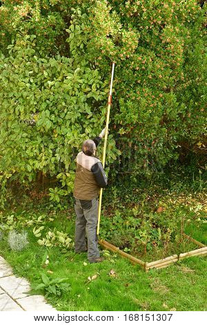 verneuil sur Seine France - november 3 2016 : a pruner in agarden