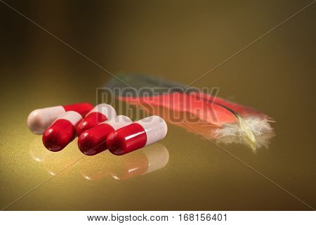Biird flu feather and antibiotics capsule on golden background