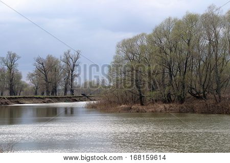 Spring On The River