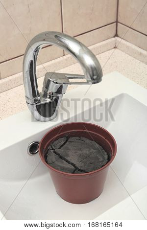 Water shortage concept. Pot with dry ground in white sink