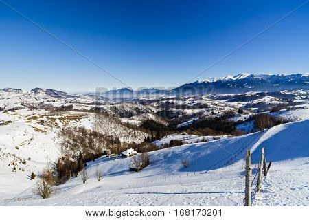Beautiful Winter Landscape With Bucegi