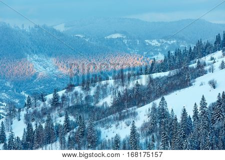 Evening Winter Ukrainian Carpathian Mountains Landscape.