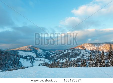 Evening Winter Ukrainian Carpathian Mountains Landscape.