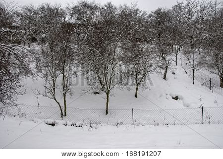 Winter landscape in the rural mountain village