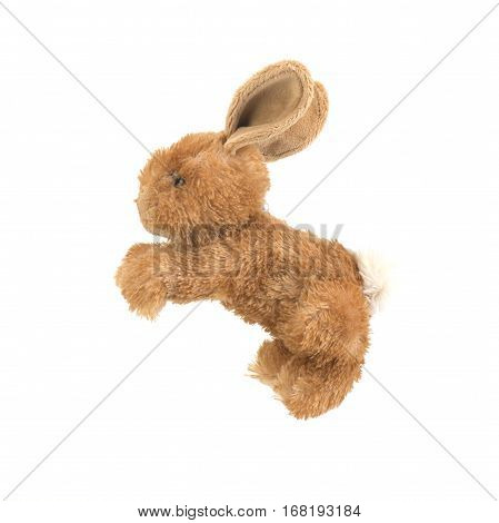 Brown Rabbit toy on the white background