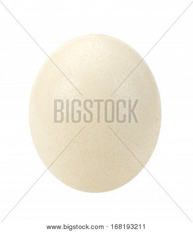 White egg isolated on the white background