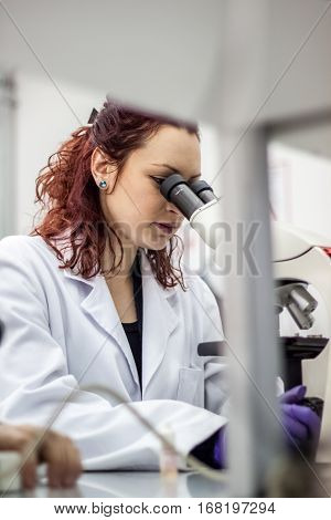 A Female Medical Or Scientific Researcher Or Woman Doctor Looking Through A Microscope In A Laborato
