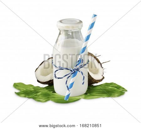 milk of coconut and fresh coconuts isolated on white background. Сoconut with copy space for text.