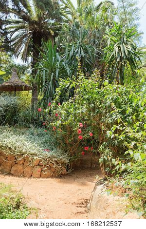 Tropical Garden Jardins Exotiques in Sale, Morocco, Africa