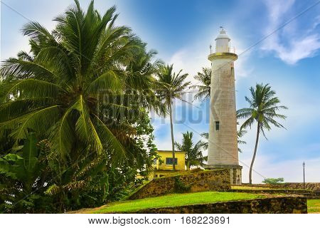 White lighthouse and tropical palms fort Galle Sri Lanka.