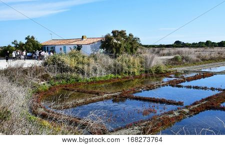 Loix France - september 26 2016 : the picturesque salt evaporation pond