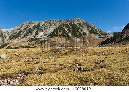 Mountain Tate