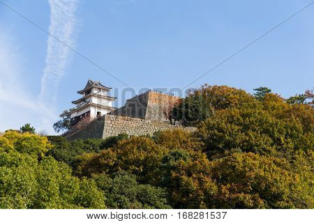 Marugame Castle in Japan
