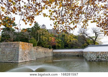 Marugame Castle in Autumn
