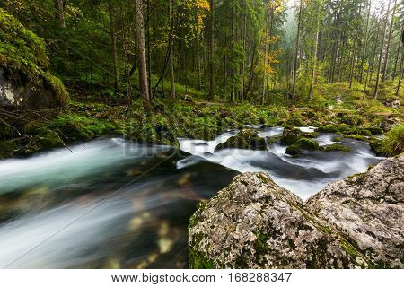 A Rapid  Mountain Creek Running Deep In A Dense Forest