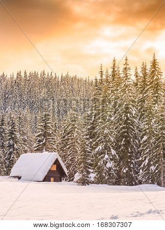 Winter holiday house in slovenia alps. Europe