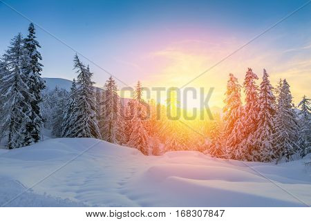 Beautiful sunset in winter forest Jluia Alps in Slovenia