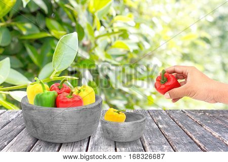 pepper in wood bowl on naturre background