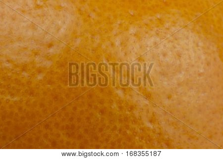 orange near background close to fresh texture