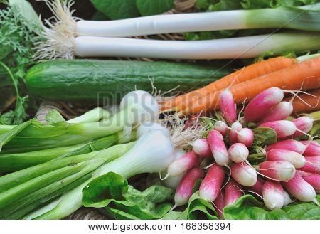 close on various and freshand raw  vegetables